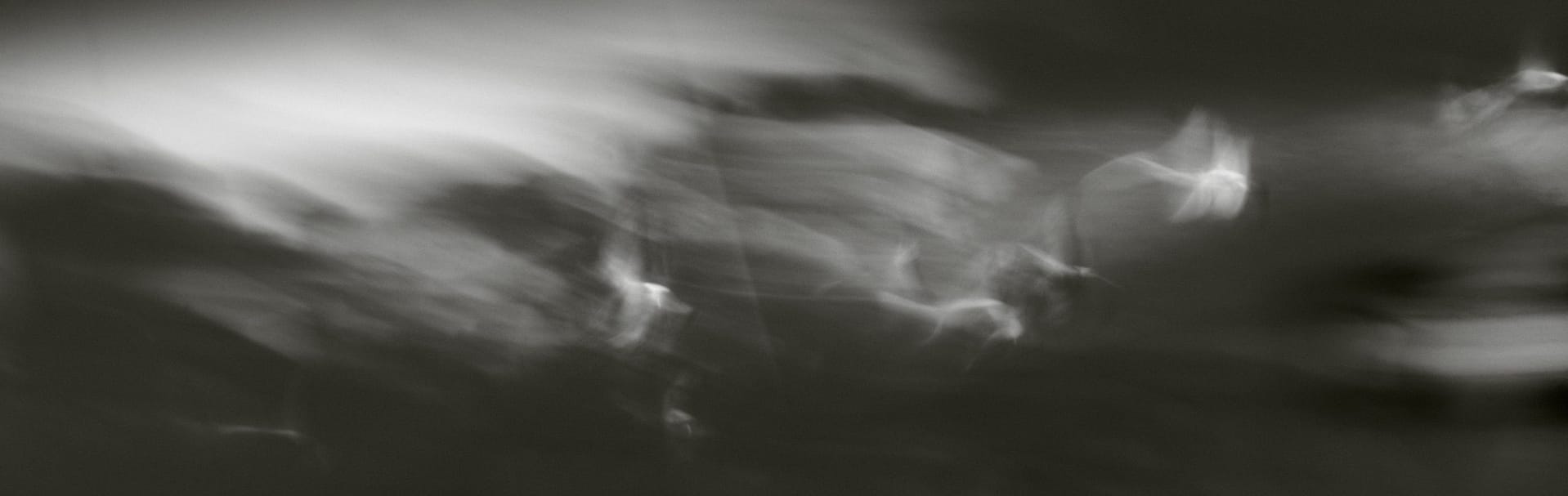Abstract black and white ICM photo of seabirds blurred into soft streaks above a dark sea.